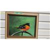 Image 2 : Beautiful signed original Baltimore Oriole painting