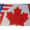 Image 2 : Canadian/ american flag-new