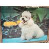Image 3 : Lenticular lighted poodle framed picture - 21.5"x17.5"H