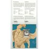 Image 2 : 2015 "Superman" Canadian fine silver 20 dollar coin, in folder