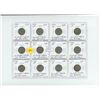 Image 1 : 12 USA indian head or buffalo nickels-1920 to 1938 -various years