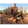 #SLA-14 Desert Mule Deer Hunt, Sonora, Mexico