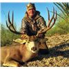 Image 2 : #SLA-14 Desert Mule Deer Hunt, Sonora, Mexico