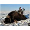 Image 1 : #SLA-15 Barren Ground OR Greenland Muskox Spring Hunt,  Nunavut