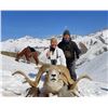Image 1 : #SLA-16 Marco Polo Argali Hunt, Kyrgyzstan