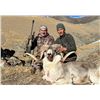 Image 2 : #SLA-16 Marco Polo Argali Hunt, Kyrgyzstan