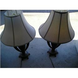 Pair of Wonderful Lamps