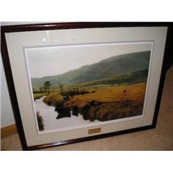 "Did You See It" by A. Sebring