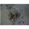 Image 1 : Old jailer key ring
