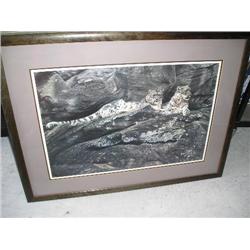 Snow Leopard by Alan M. Hunt