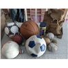 Image 1 : Assorted Sports Balls