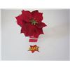 Image 1 : Poinsettia