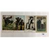 Image 2 : Black Americana Postcards 18