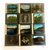 Image 1 : Glass Negatives 23 Different