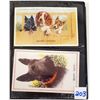 Image 2 : Animals - Scottie Dog Postcards Album of 20