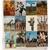 Image 2 : Animals- Giraffe Postcard Album Approx. 80 Postcards