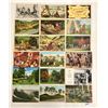 Image 1 : American Indian Postcards Approx. 136
