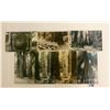 Image 2 : Real Photo Muir Woods California Postcards 20