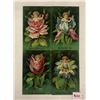 Image 1 : Set of 4 Fantasy Flower Girl Greeting Postcards