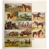 Image 1 : Greetings Postcards of Horses 17 Cards