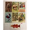 Image 2 : Greeting Postcards of Animals 27 Cards