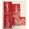 Image 2 : Red & White Pin Up Lady Arcade Cards 16 Cards