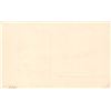 Image 2 : 5 Tinted Real Photo Black Americana Doll Postcards