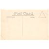 Image 2 : Real Photo Man Scraping Tree Tapping Turpentine Postcard