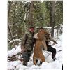 Image 3 : Montana Lion Hunt