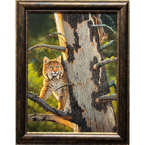 Out of Sight by Tom Mansanarez