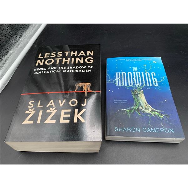 Less than Nothing and The Knowing Books