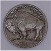 Image 2 : 1913 Type 1 Buffalo Nickel