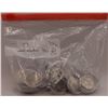 Image 1 : (53) State Quarters