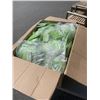 Image 2 : APPROX 300 NEW PAIRS OF SIZE MEDIUM GREEN RUBBER GLOVES