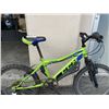 Image 2 : GREEN CCM BIKE