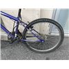 Image 3 : PURPLE NO NAME BIKE