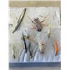 Image 2 : 30 BONE FSH, SNOOK CRAB FLIES, CRAZY/CHARLIES, ETC