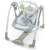 Image 1 : INGENUITY SWING N GO PORTABLE SWING