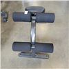 Image 2 : CURL BENCH