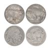 Image 1 : Liberty and Buffalo Nickel Collection, ca. 1884-1938.,