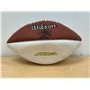Image 1 : Winnipeg Blue Bombers Wilson CFL Football - autographs have faded - doesn't seem to hold air