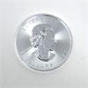 Image 2 : 2 Oz .9999 Silver 2024 Woolly Mammoth Coin 