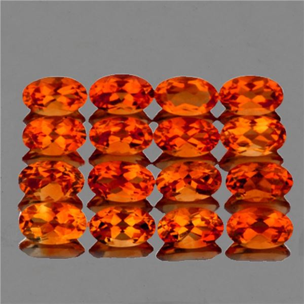 Natural Madeira Orange Citrine 16 Pcs [Flawless-VVS]