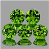 Image 1 : Natural AAA Green Peridot {Flawless-VVS1}