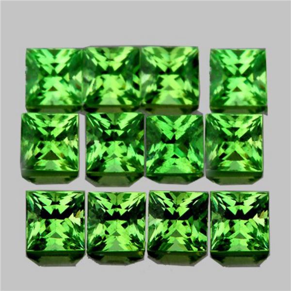 Natural Chrome Green Tsavorite Garnet 12 Pcs - VVS