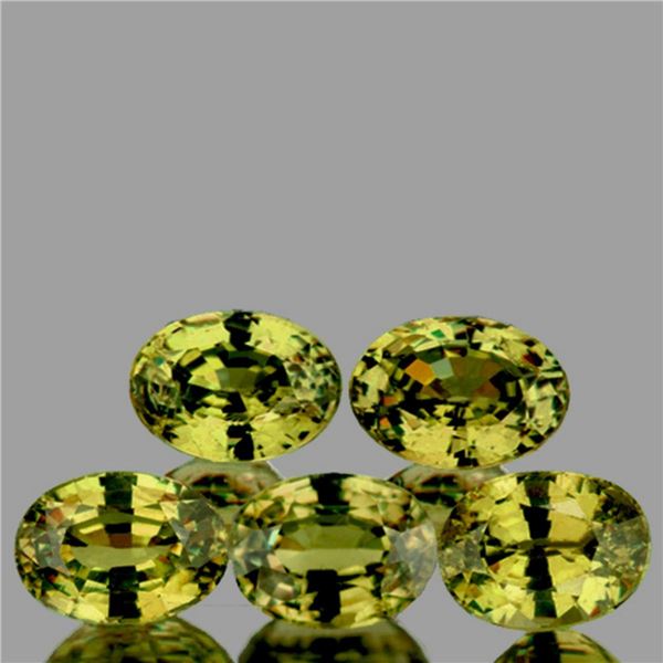 Natural AAA Color Change Garnet 5 Pcs [VVS]