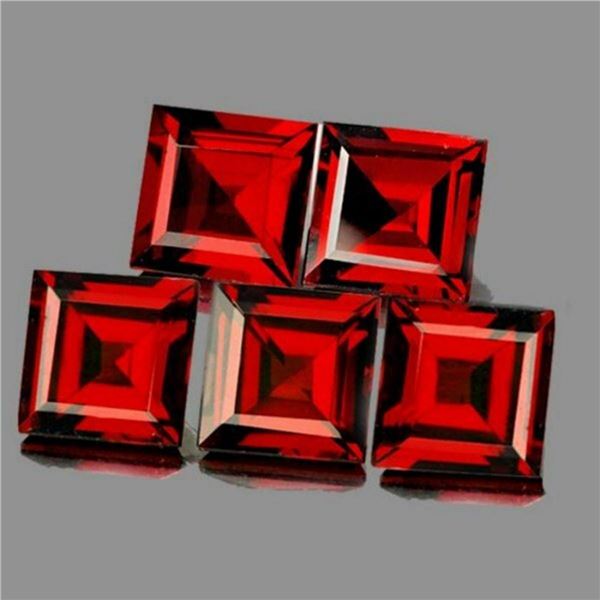 Natural Orange Red Garnet 5 Pcs [IF-VVS]