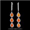 Image 1 : Natural Stunning Orange Opal Earrings