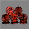 Image 1 : Natural Burma Spinel 5 Pcs {Flawless-VVS}