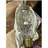 Image 4 : Bulbs